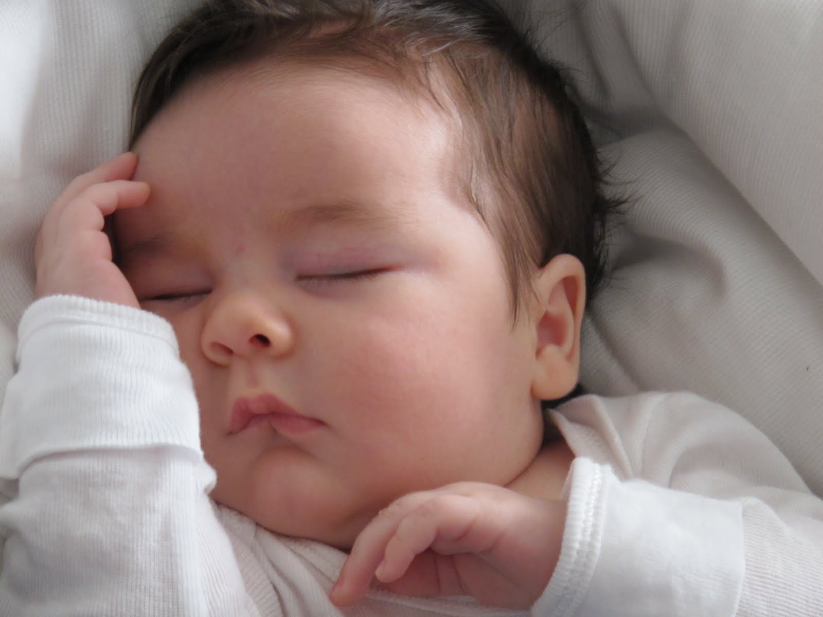 Blog da JuChicrala 2 meses de vida!